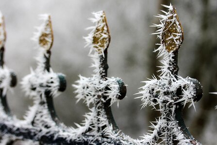 Wrought iron fence cold rimy photo