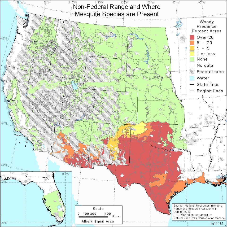 Mesquite Range in the United States