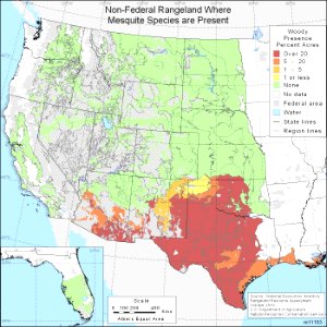 Mesquite Range in the United States