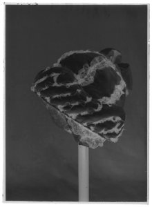 Mössa med fallvalk - Livrustkammaren - 27447-negative