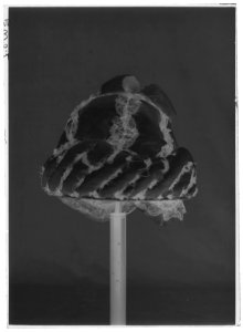 Mössa med fallvalk - Livrustkammaren - 44566-negative