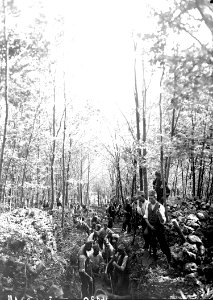 Mühsamer Bau eines Schützengrabens im Wald - CH-BAR - 3240108