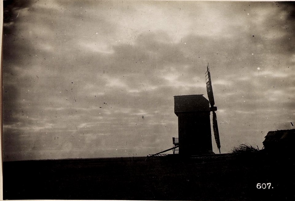 Mühle in Kozliniczy (BildID 15706211)