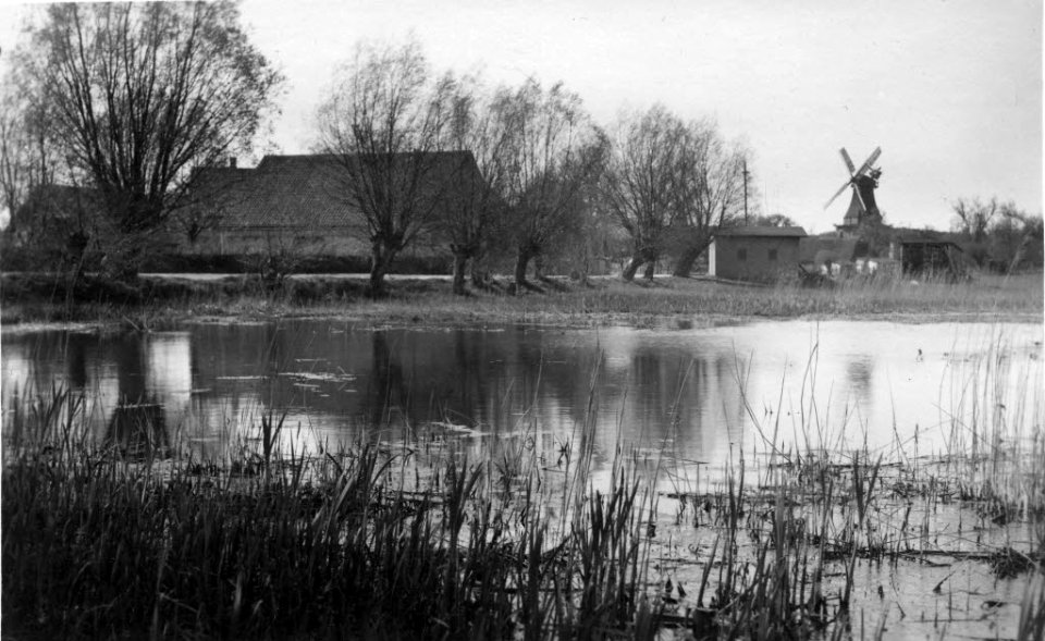 Mühlenteich in Dersau bei Ascheberg (Kiel 54.328)