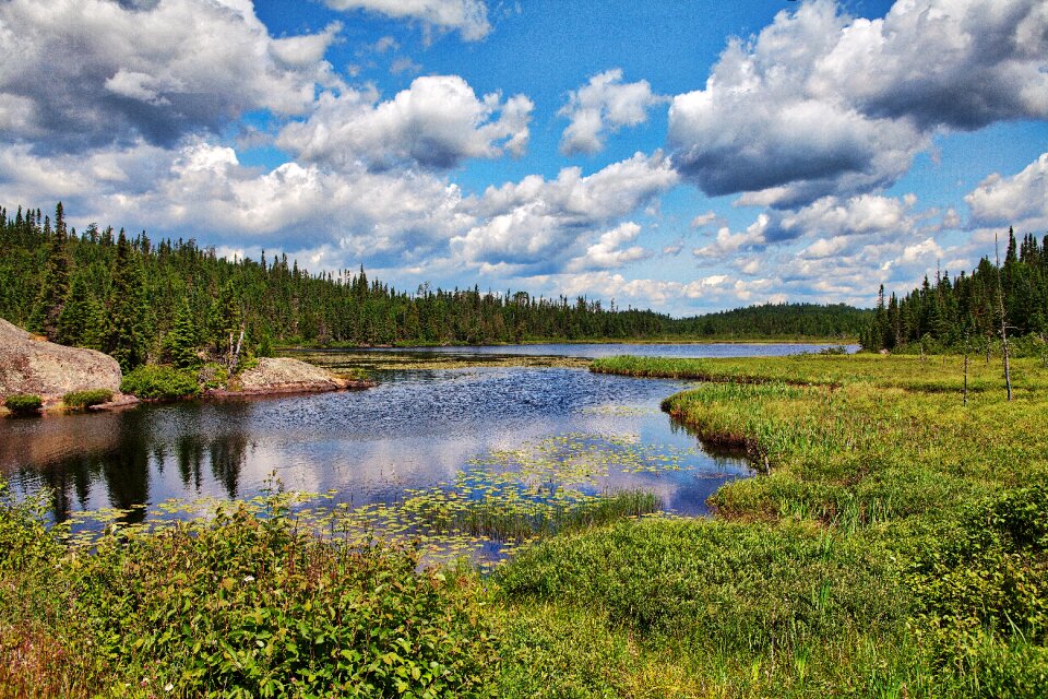 Algonquin park lake scenery