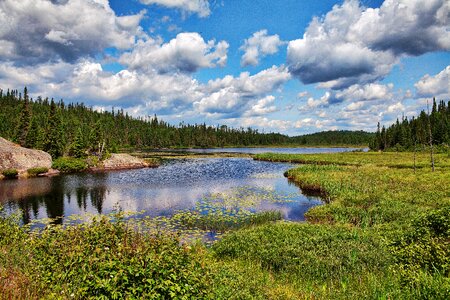 Algonquin park lake scenery