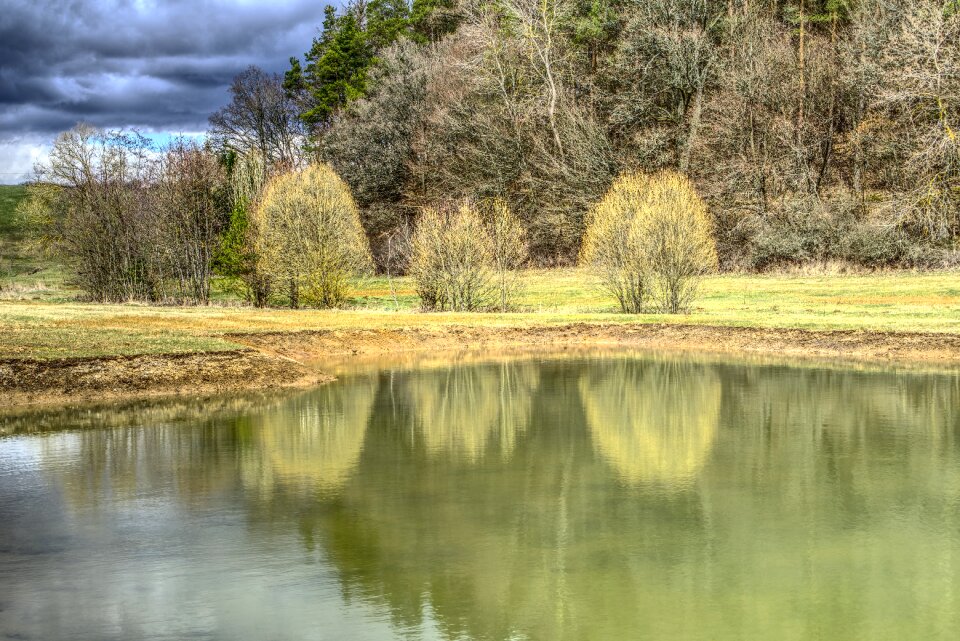 Grass landscape biotope