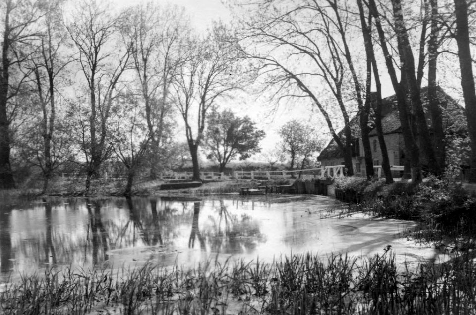 Mühlenteich in Kühren (Kiel 70.224)