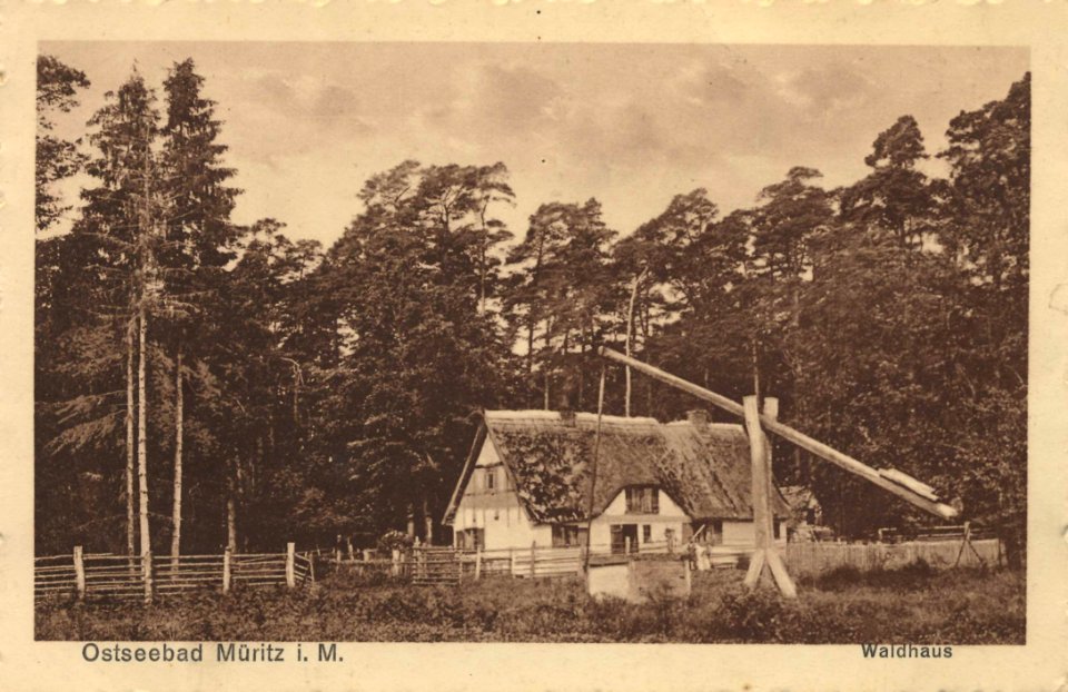 Müritz, Ostseebad, Mecklenburg-Vorpommern - Waldhaus (Zeno Ansichtskarten)