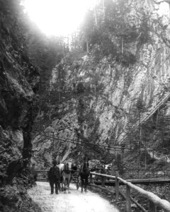 Mürztal - Totes Weib - 1898