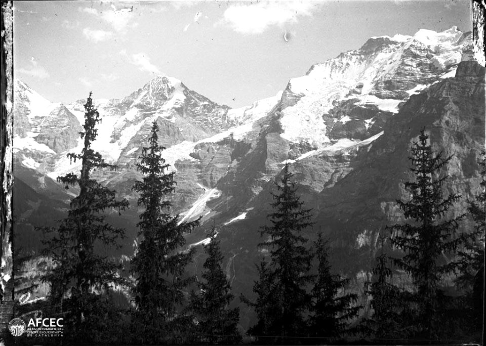 Mönch i Jungfrau amb uns arbres en primer terme