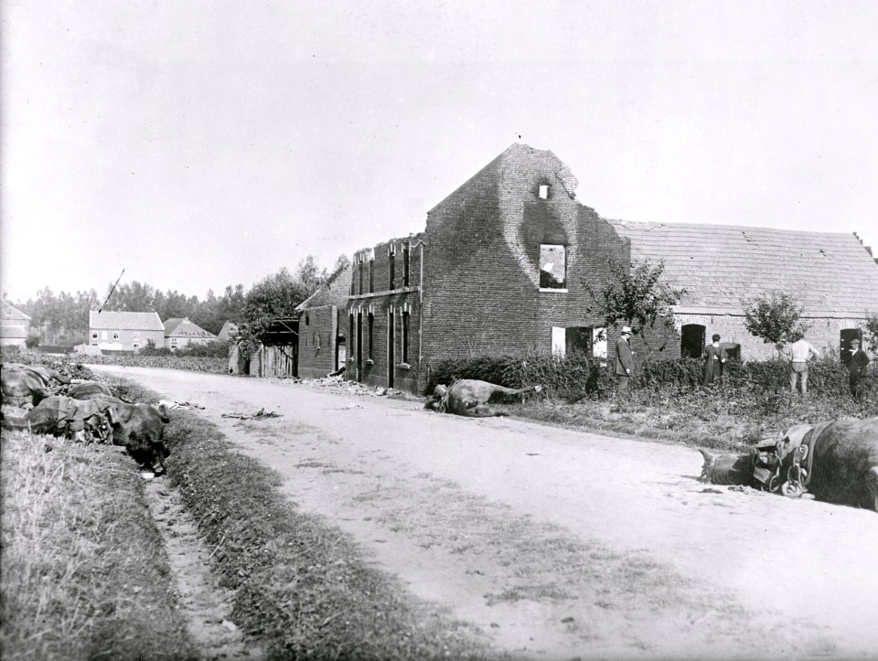 Nach dem Gefecht bei Halen am 12. August 1914