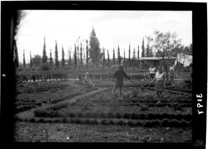 Nahalal. Girls' Agricultural Training School. The flower garden LOC matpc.15221