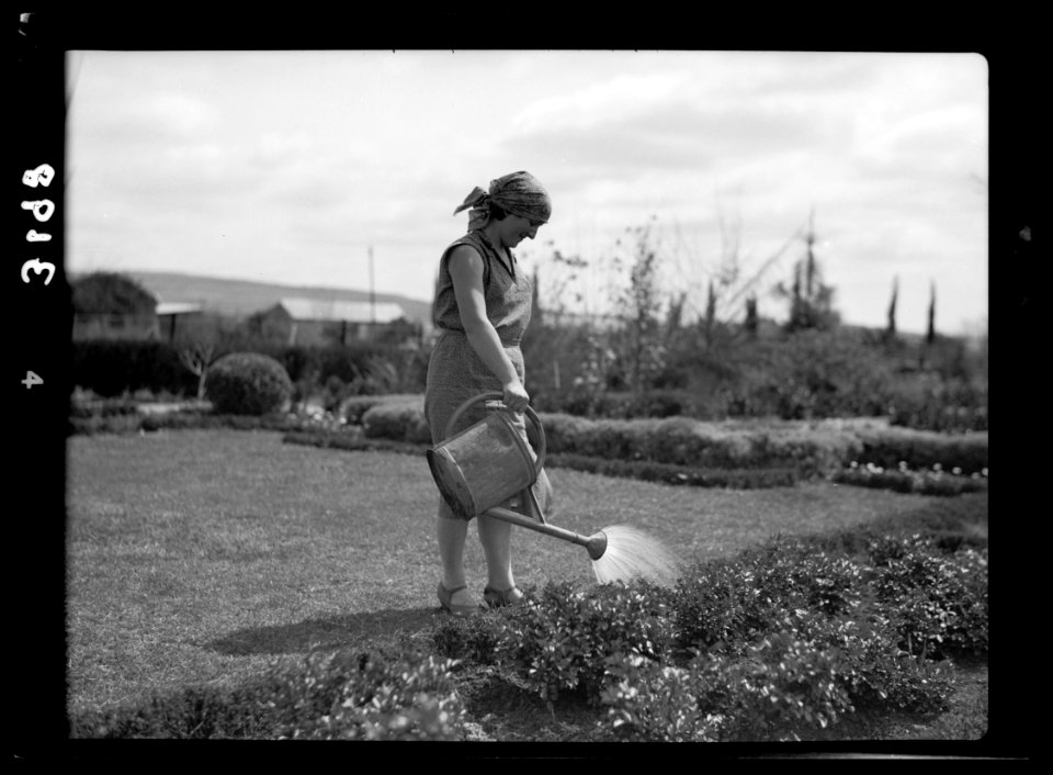 Nahalal. Girls' Agricultural Training School. Watering flower garden. Girl with water can LOC matpc.15222