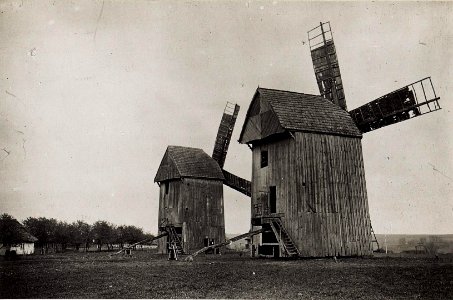 Mühlen in Kruchiniczy (BildID 15703827)