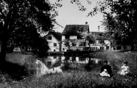 Mühleweiher1