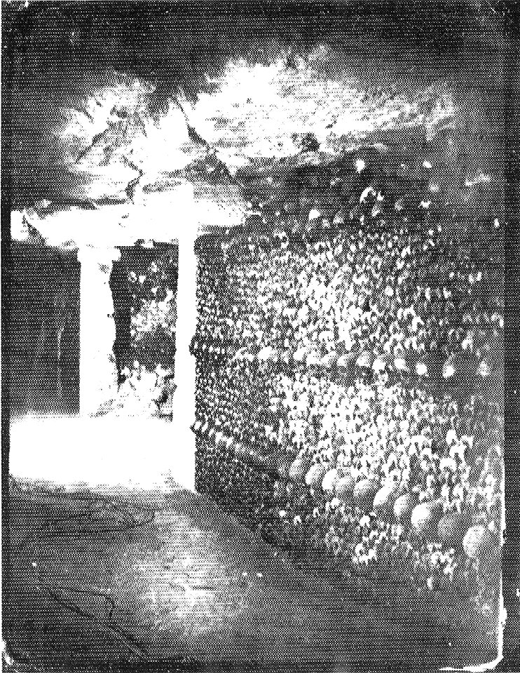 Nadar - Catacombes de Paris - NPS 80