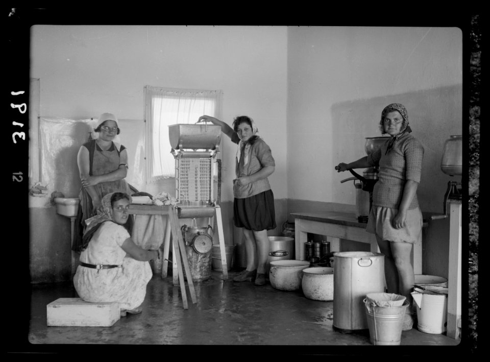 Nahalal. Girls' Agricultural Training School. Dairy. Working the cream separators LOC matpc.15215