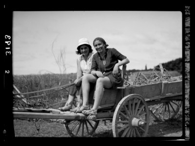 Nahalal. Girls' Agricultural Training School. Driving the farm waggon. Girls returning from field work LOC matpc.15217