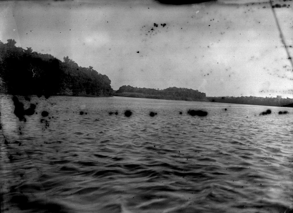 N. nr. 13768 B. nr. 21770 (papper under negativkuvert) Datum Juli 1912 Ort Namakia, Madagaskar - SMVK - 021770