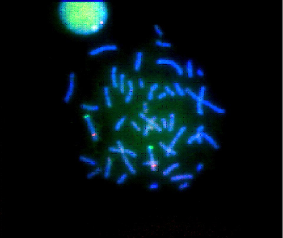 Nanotechnology; Fluorescent Nanodots (5887270769)