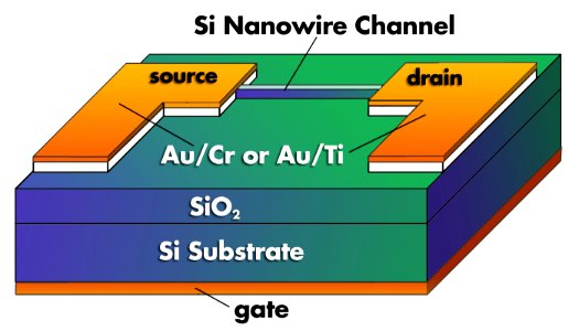 Nanowire Transistor (5884870314)