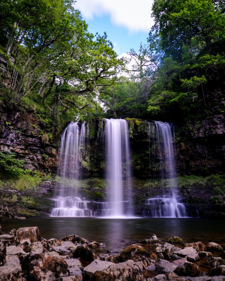 River nature forest photo