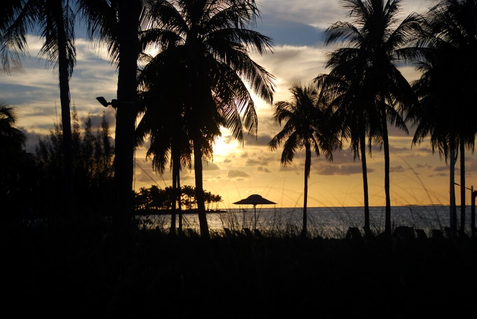 Sunset silhouette black sunset