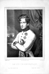 Napoleon II. Litho photo
