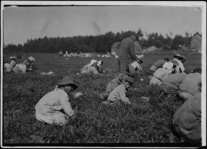 Napoleon Leighton, 9 years old. Also young Portuguese girl about 11 years old. Rochester, Mass. - NARA - 523471