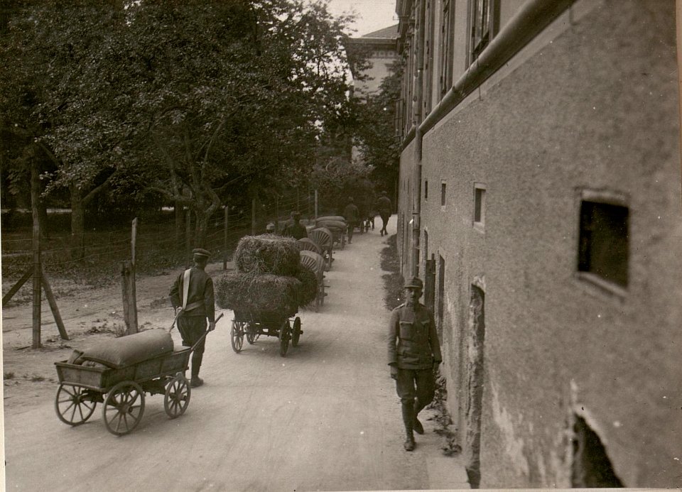 Nachschub. (27-6.1917.) (BildID 15799195)