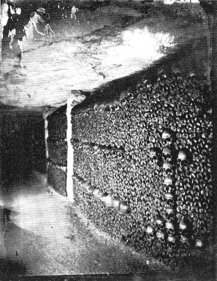 Nadar - Catacombes de Paris - NPS 9