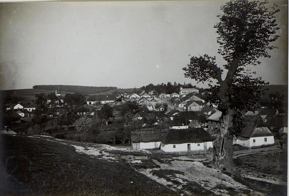 Narajow miasto,Blick von Ost (BildID 15442006)