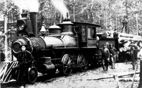 Narrow gauge logging (45718690711)