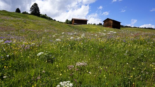 Hut graubünden farm photo