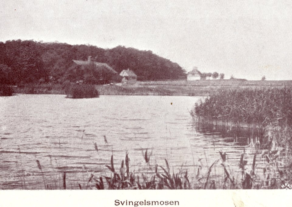 Naksk svingelmosen
