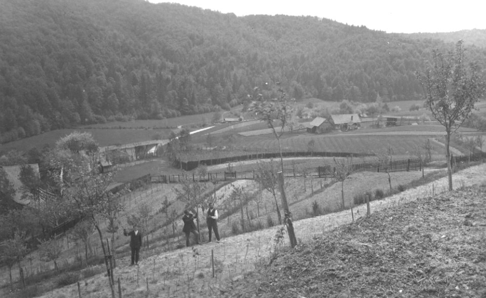 Naselje (4)