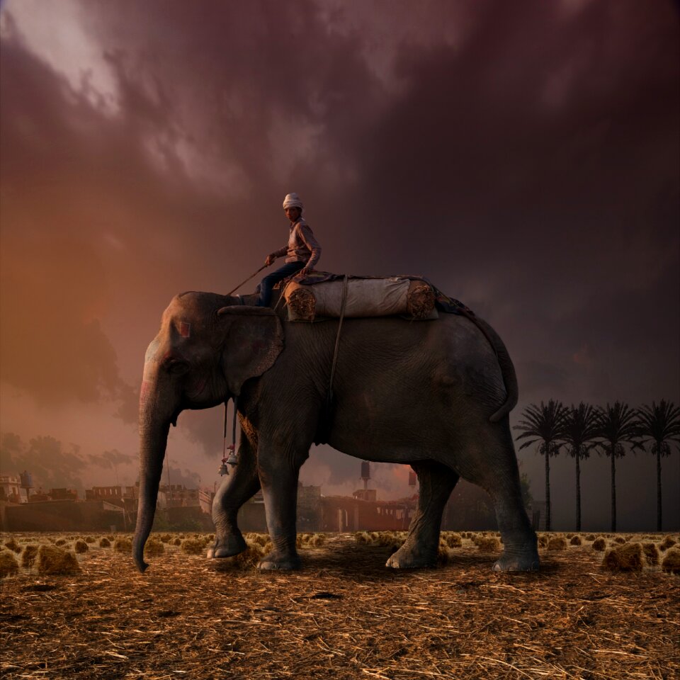 Elephant and rider desert brown fantasy