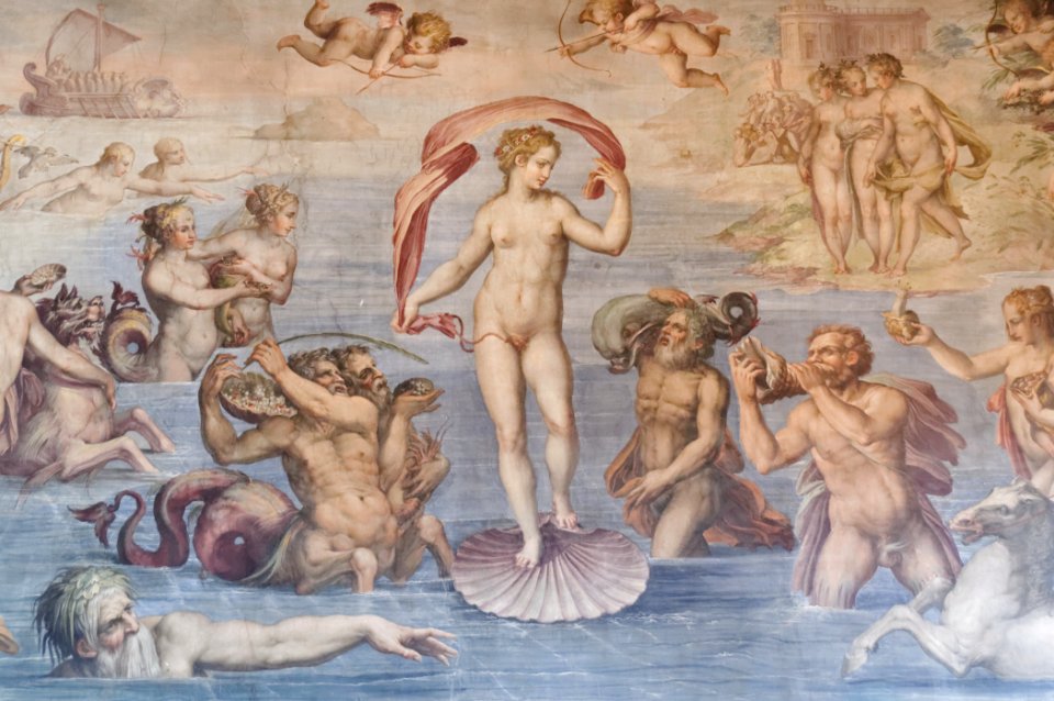 Nascita di Venere Palazzo Vecchio