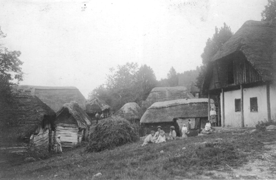 Naselje 1920