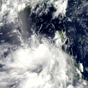 Nangka 25 June 2009