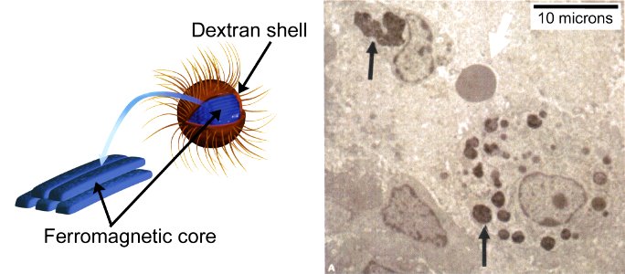 Nanoparticles; Medicine (5941040746)