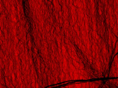 Nanotube; Ultradark (5940479457)