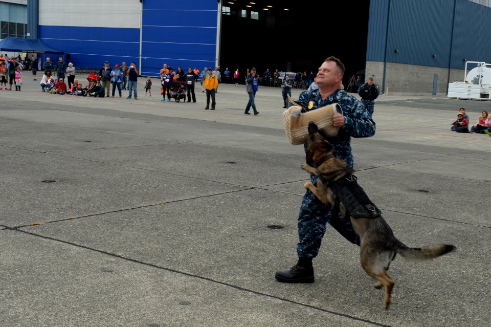 NAS Whidbey Island hosts open house 140719-N-DC740-060