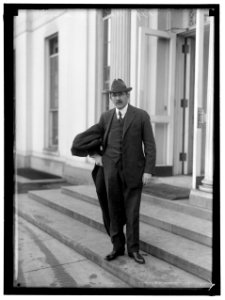 METZ, HERMAN AUGUST, REP. FROM NEW YORK, 1913-1915 LCCN2016866075
