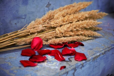 Bouquet blue red photo