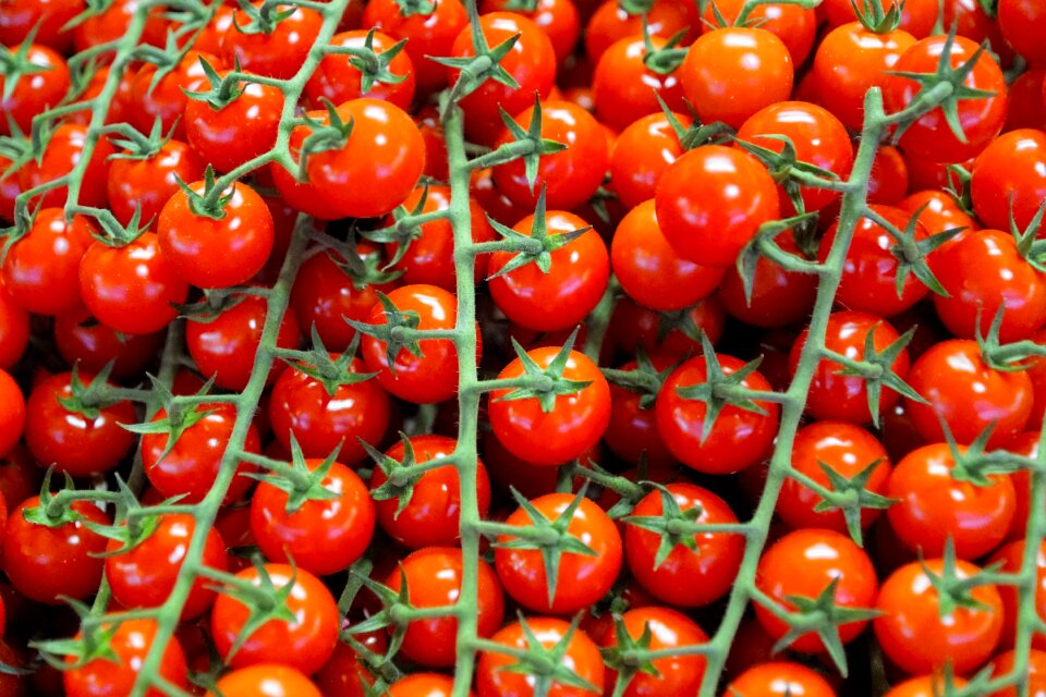 Vegan bio vegetables