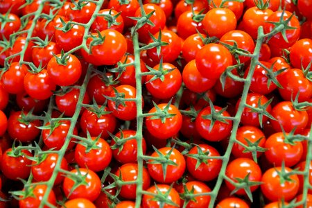 Vegan bio vegetables