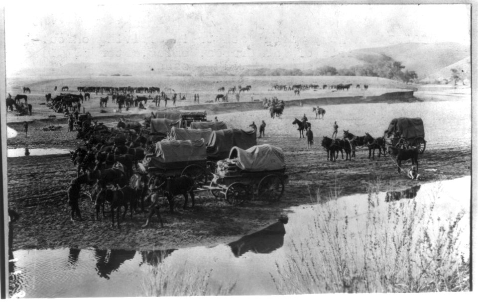 Mexico - campaign against Villa - 1916. An Army wagon pack train arriving on outskirts of Las Cruces, Mexico LCCN2005676514
