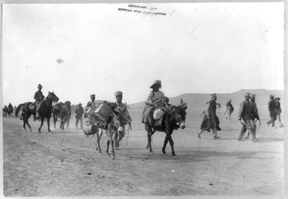 Mexican War, 1914- Soldiers walking with pack burros LCCN2003655587